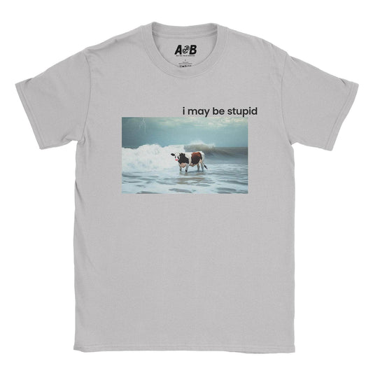 A-or-B-Tees T-Shirt Ice Grey / S Stupid T-Shirt