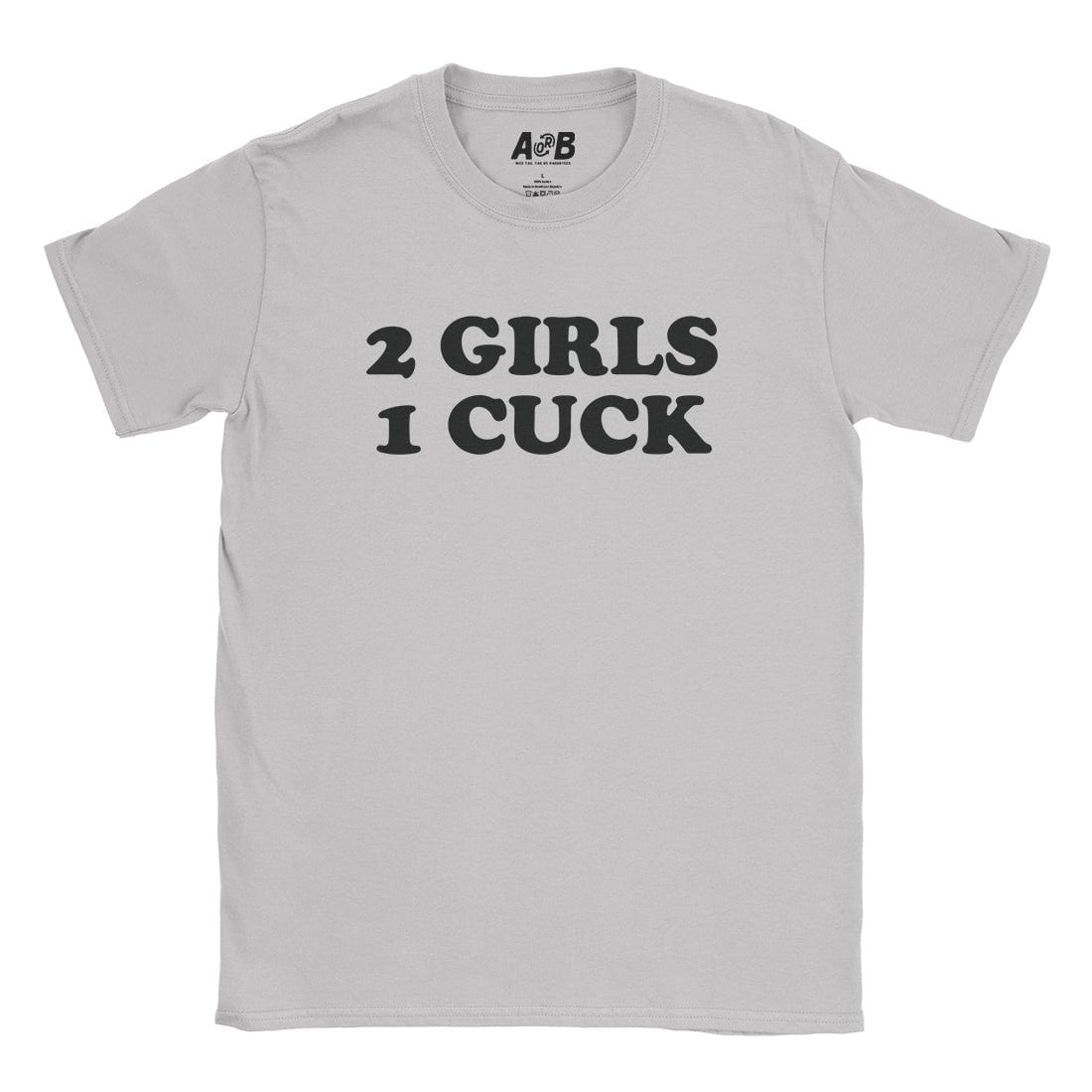 A-or-B-Tees T-Shirt Ice Grey / S 2 Girls T-Shirt