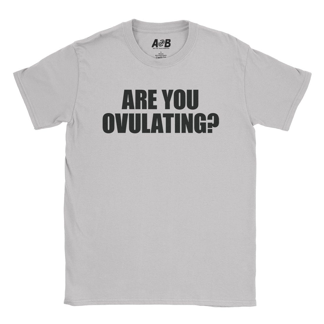 A-or-B-Tees T-Shirt Ice Grey / S Are You? T-Shirt