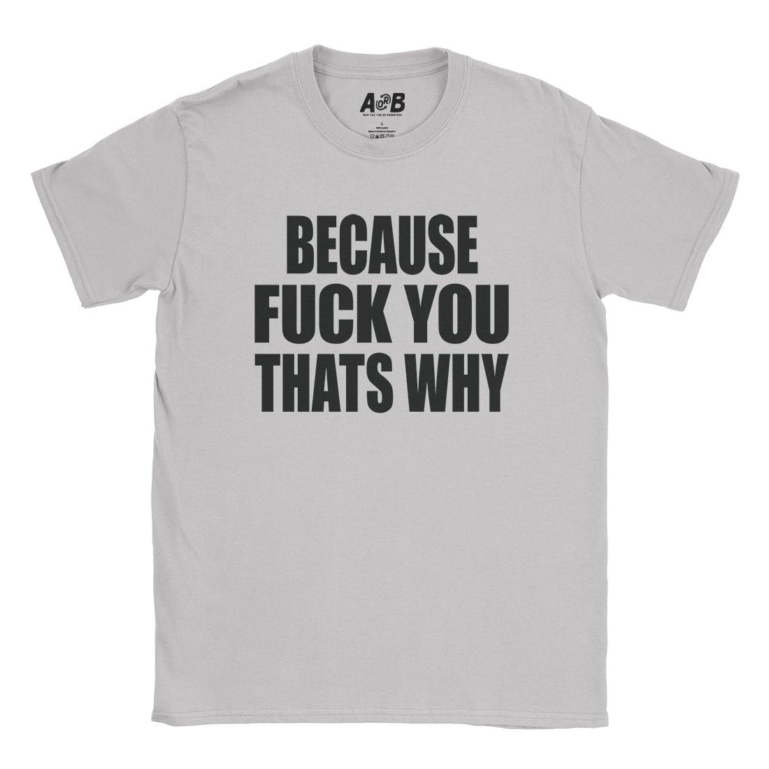 A-or-B-Tees T-Shirt Ice Grey / S Fuck You T-Shirt