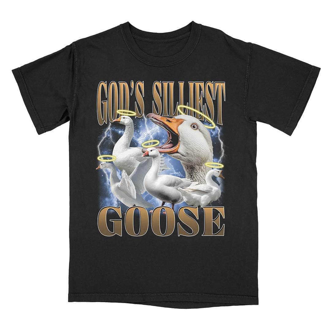 A-or-B-Tees T-Shirt Black / S God's Silliest Goose T-Shirt