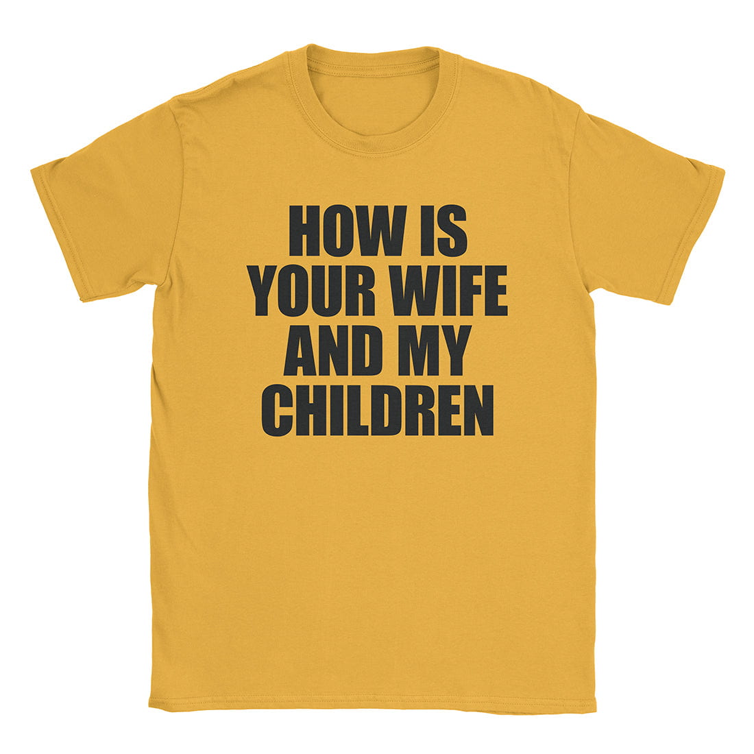 A-or-B-Tees T-Shirt Gold / S How's The Fam T-Shirt