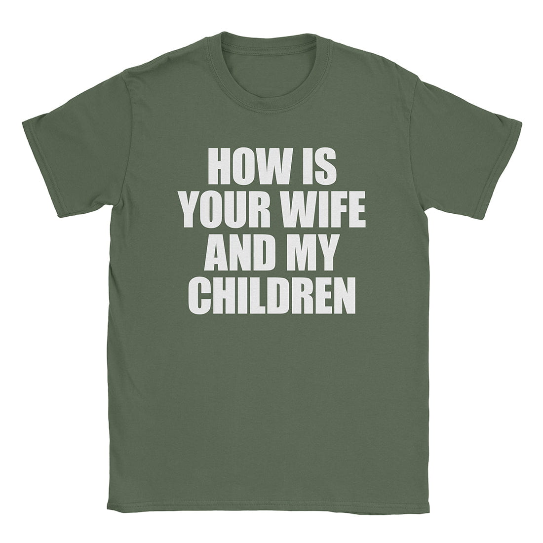 A-or-B-Tees T-Shirt Military Green / S How's The Fam T-Shirt