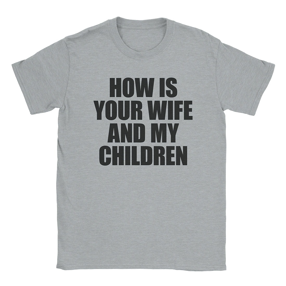 A-or-B-Tees T-Shirt Sport Grey / S How's The Fam T-Shirt