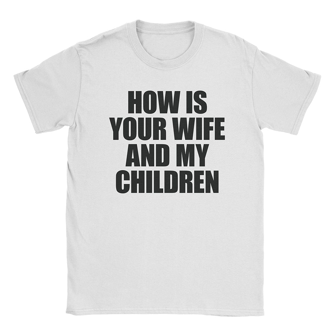 A-or-B-Tees T-Shirt White / S How's The Fam T-Shirt