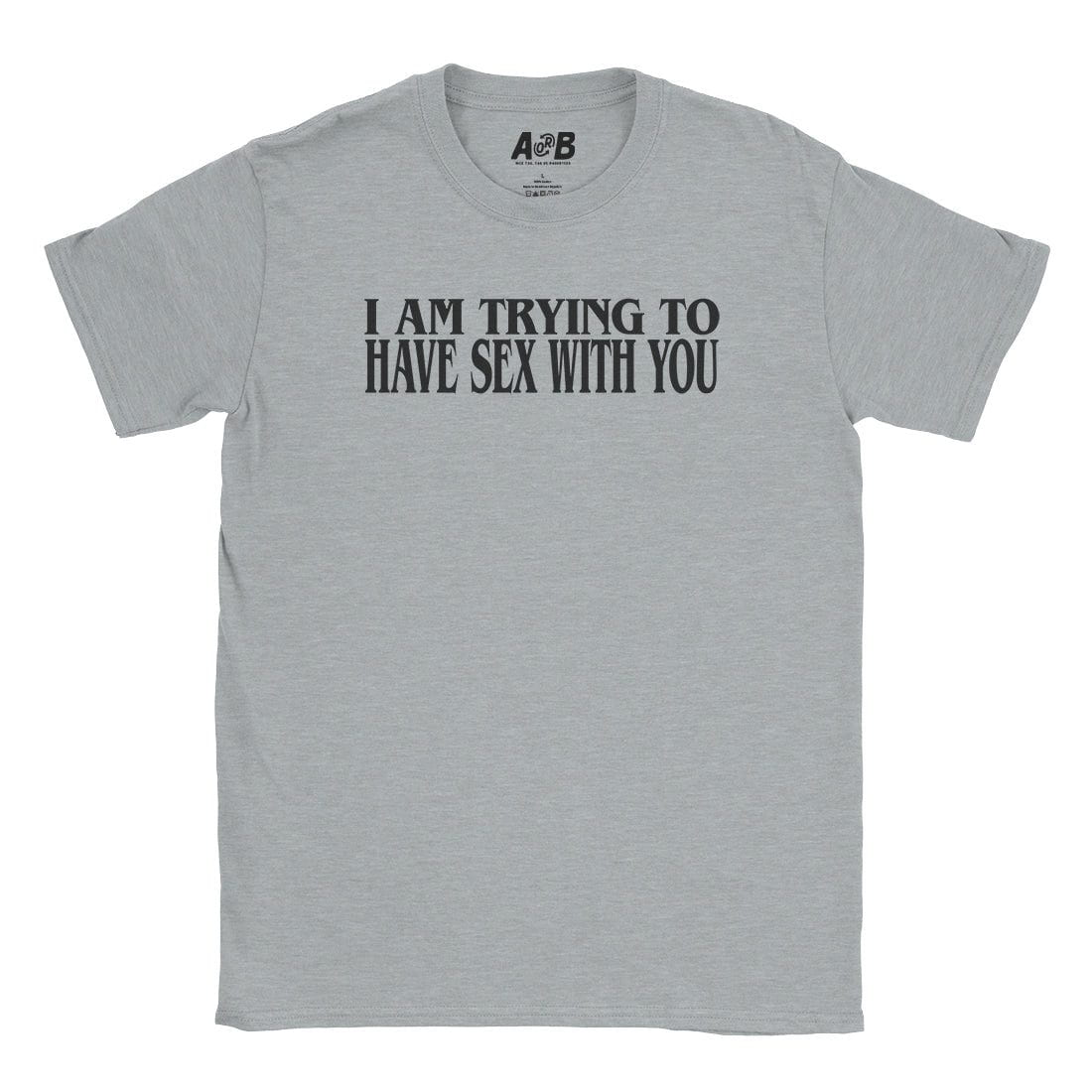 A-or-B-Tees T-Shirt Sport Grey / S I Am Trying T-Shirt