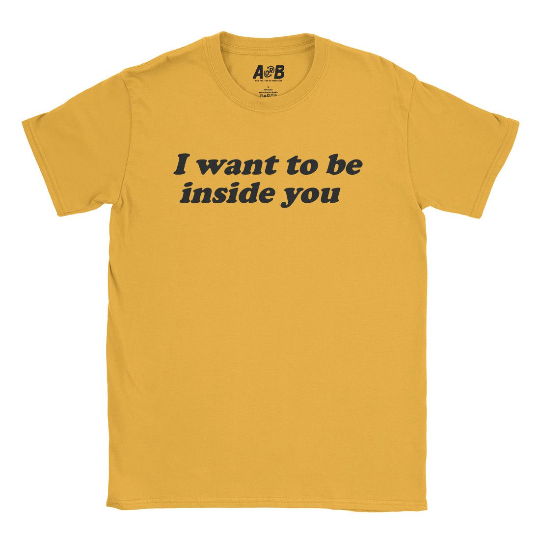 A-or-B-Tees T-Shirt Gold / S Inside You T-Shirt