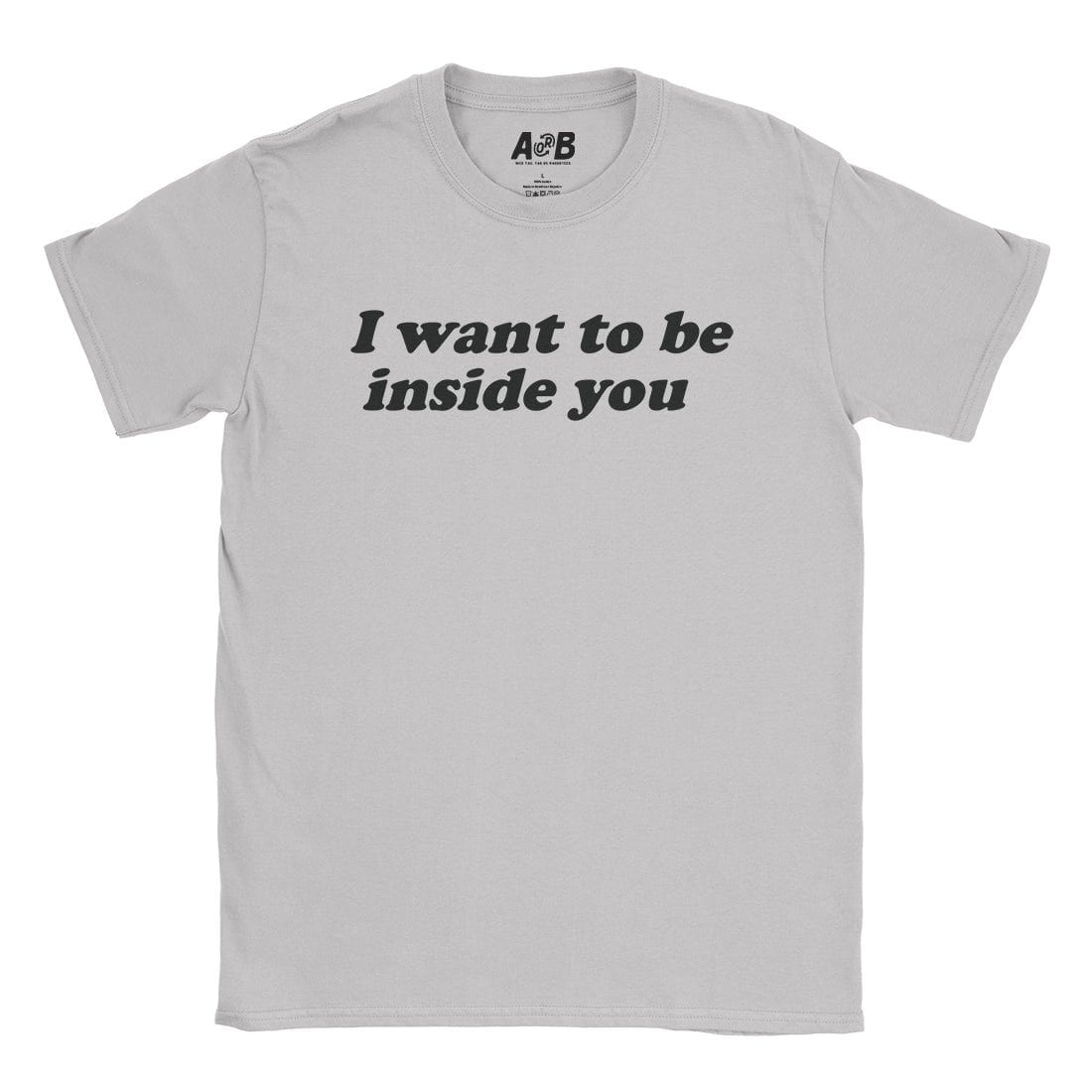 A-or-B-Tees T-Shirt Ice Grey / S Inside You T-Shirt