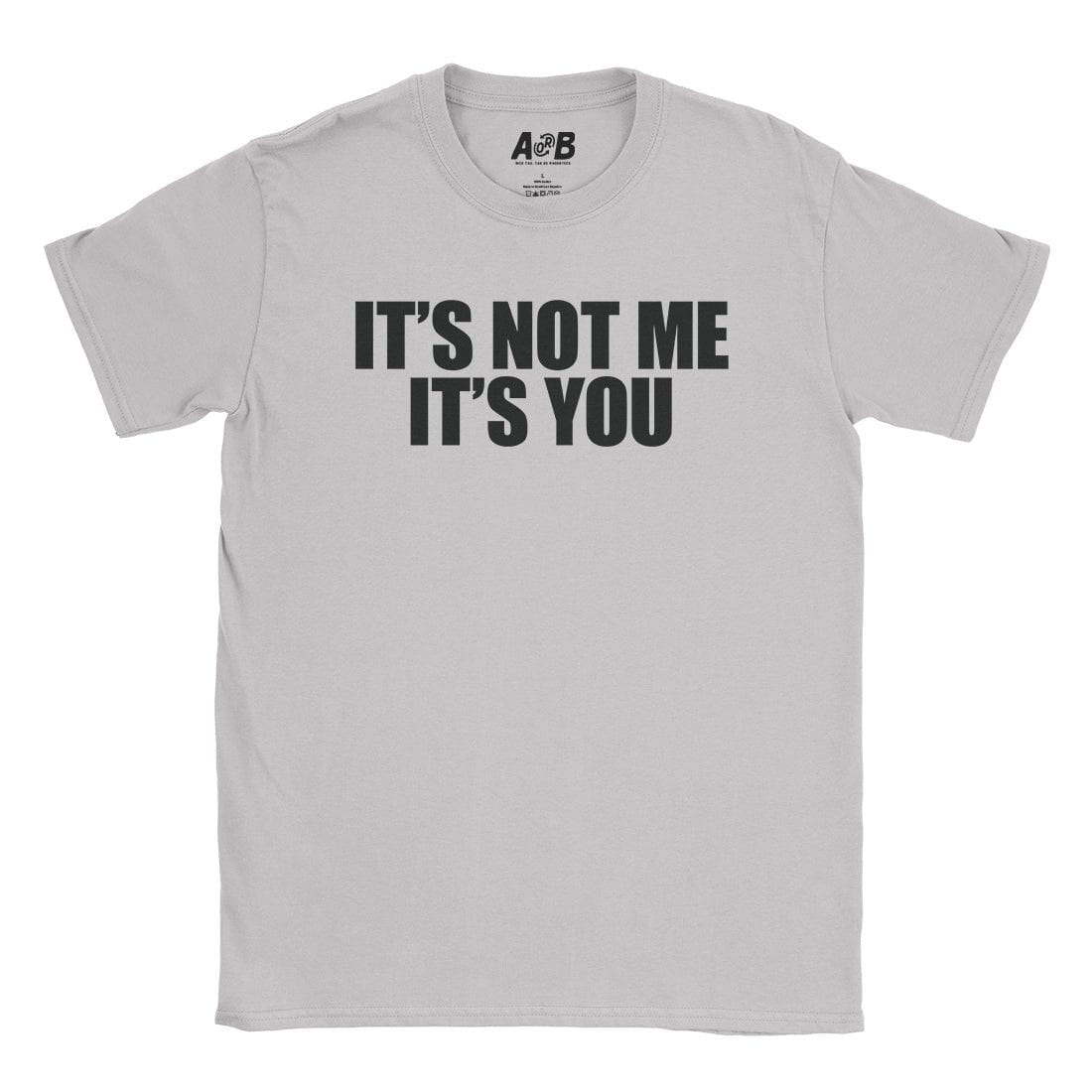 A-or-B-Tees T-Shirt Ice Grey / S It's Not Me T-Shirt