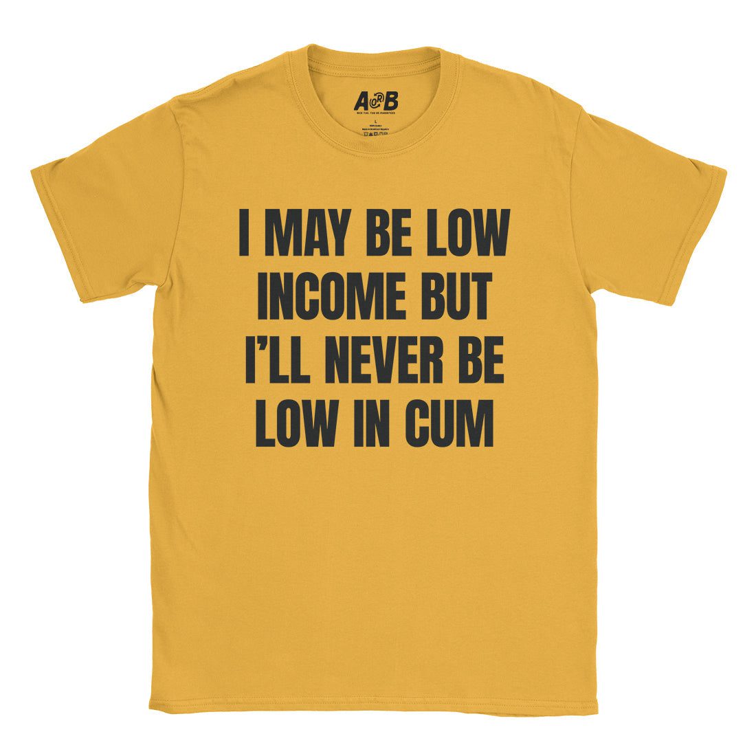 A-or-B-Tees T-Shirt Gold / S Low Income T-Shirt