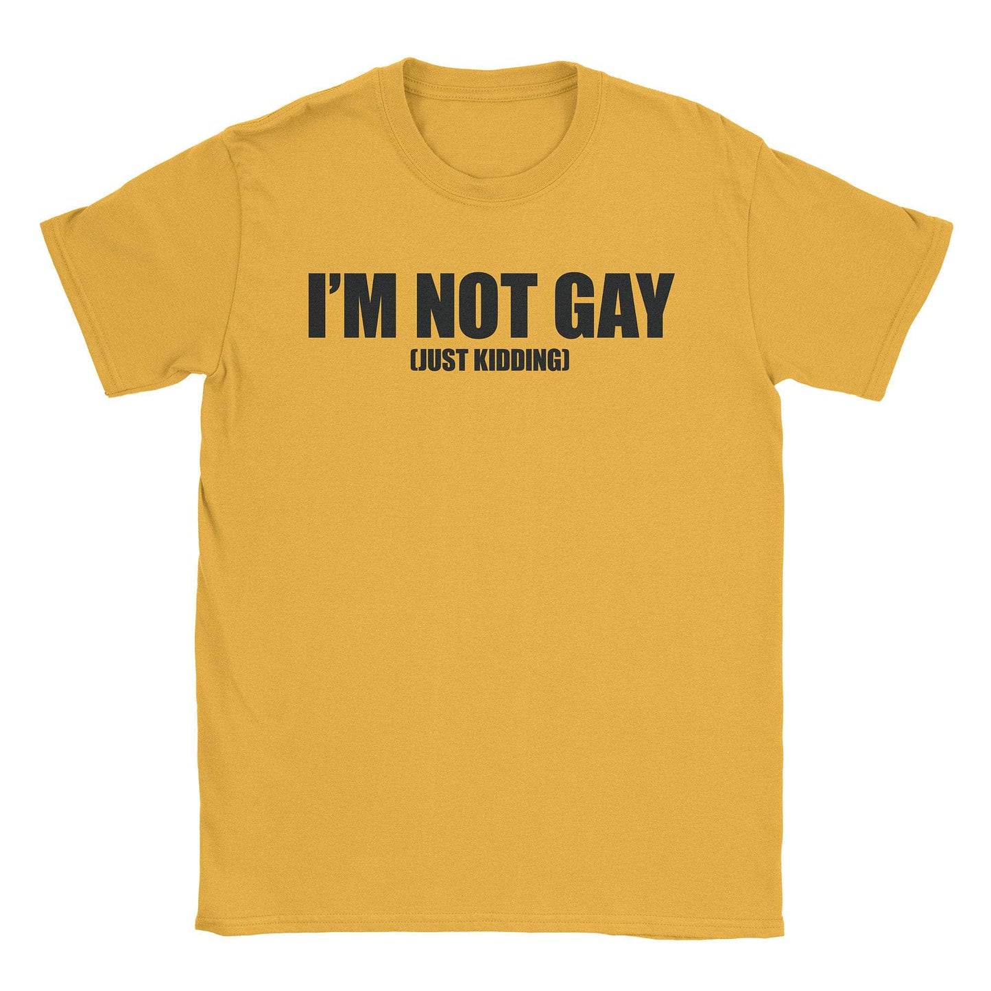 A-or-B-Tees T-Shirt Gold / S Not Gay T-Shirt