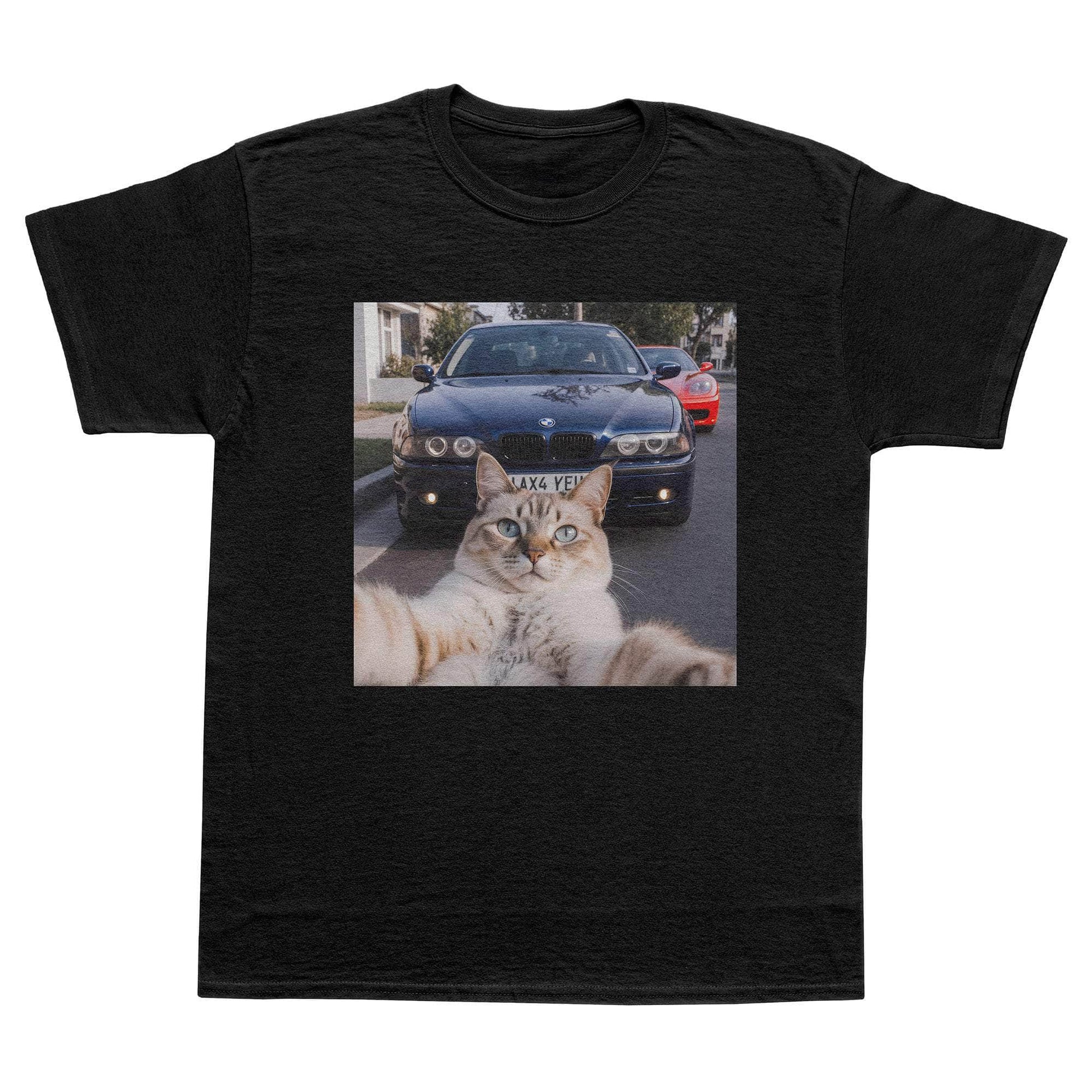 A-or-B-Tees T-Shirt Black / S Pussy Pic T-Shirt