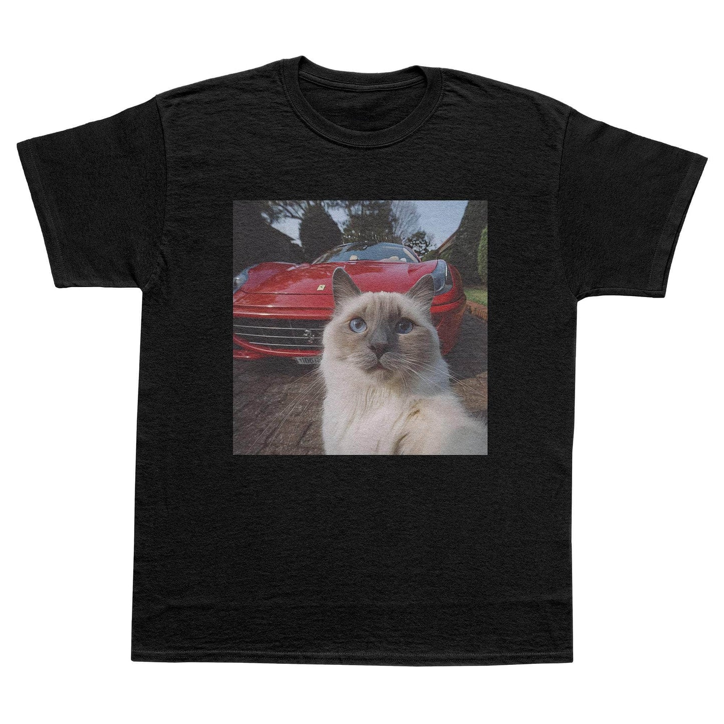 A-or-B-Tees T-Shirt Black / S Pussy Pic T-Shirt