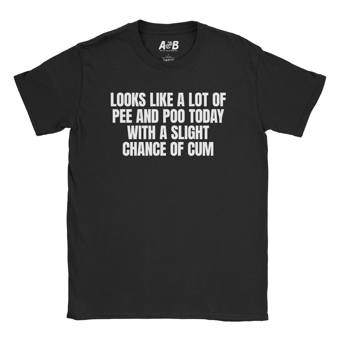 A-or-B-Tees T-Shirt Black / S Slight Chance T-Shirt