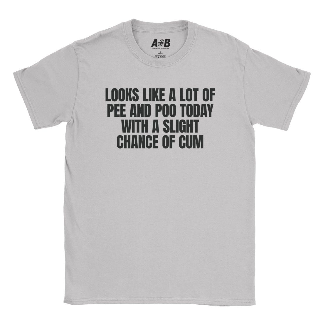 A-or-B-Tees T-Shirt Ice Grey / S Slight Chance T-Shirt