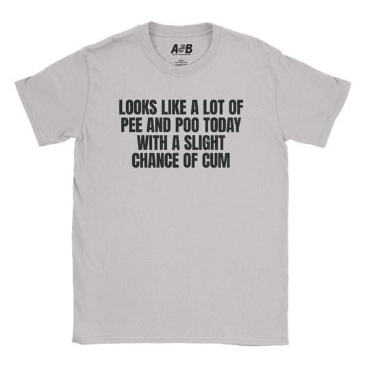 A-or-B-Tees T-Shirt Ice Grey / S Slight Chance T-Shirt