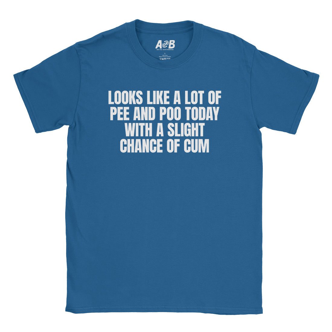 A-or-B-Tees T-Shirt Royal / S Slight Chance T-Shirt