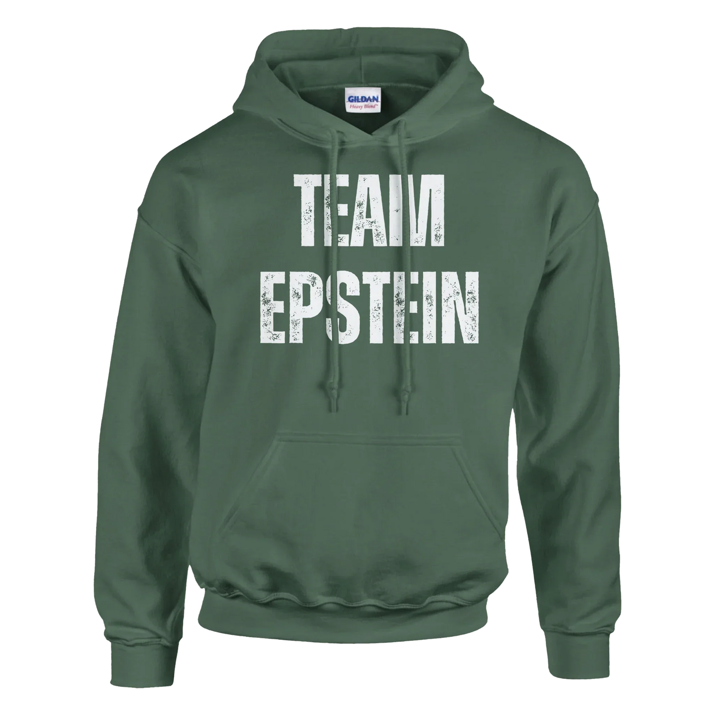 A-or-B-Tees Hoodie S / Charcoal Team Epstein Hoodie - Dark Humor Conspiracy Meme Pullover