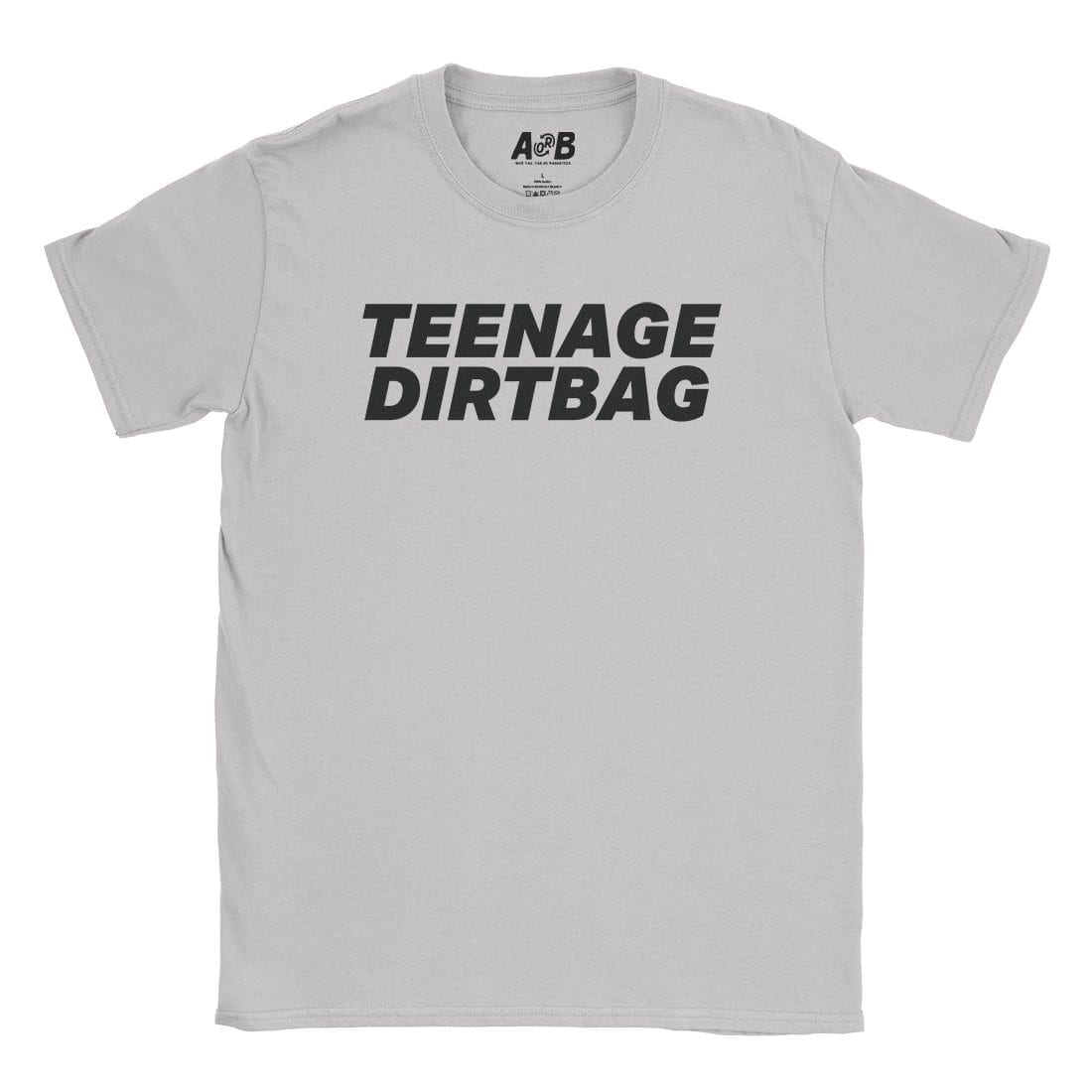 A-or-B-Tees T-Shirt Ice Grey / S Teenage Dirtbag T-Shirt