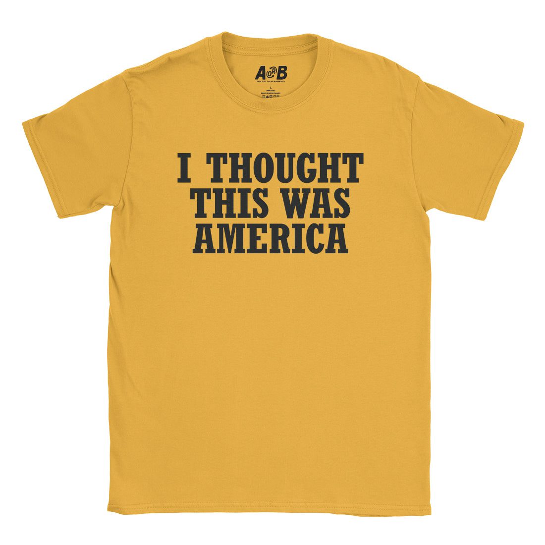 This Is America T-Shirt
